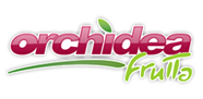 Orchidea Frutta